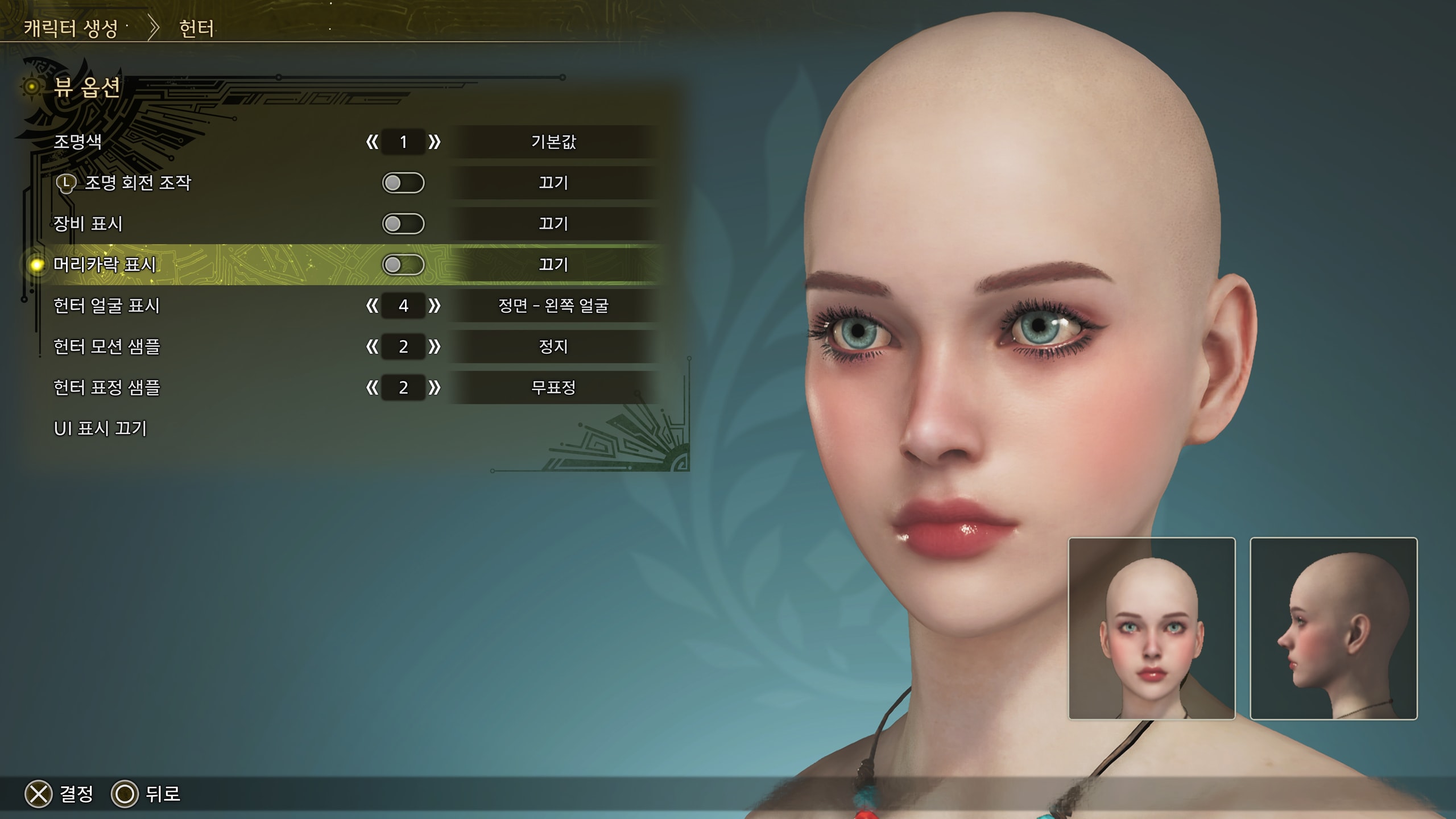 뷰 옵션 > 머리카락 표시 OFF